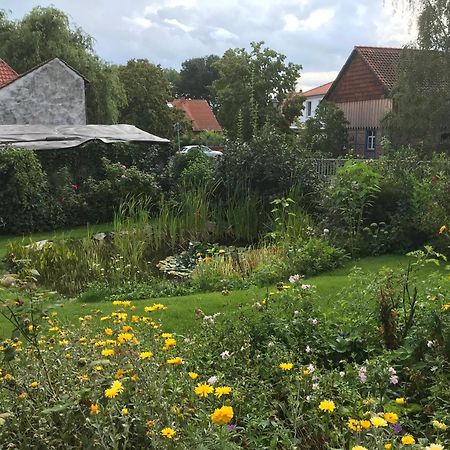 Schoene Gemuetliche Ferienwohnung Mit Kamin II Im Harz Darlingerode Ngoại thất bức ảnh