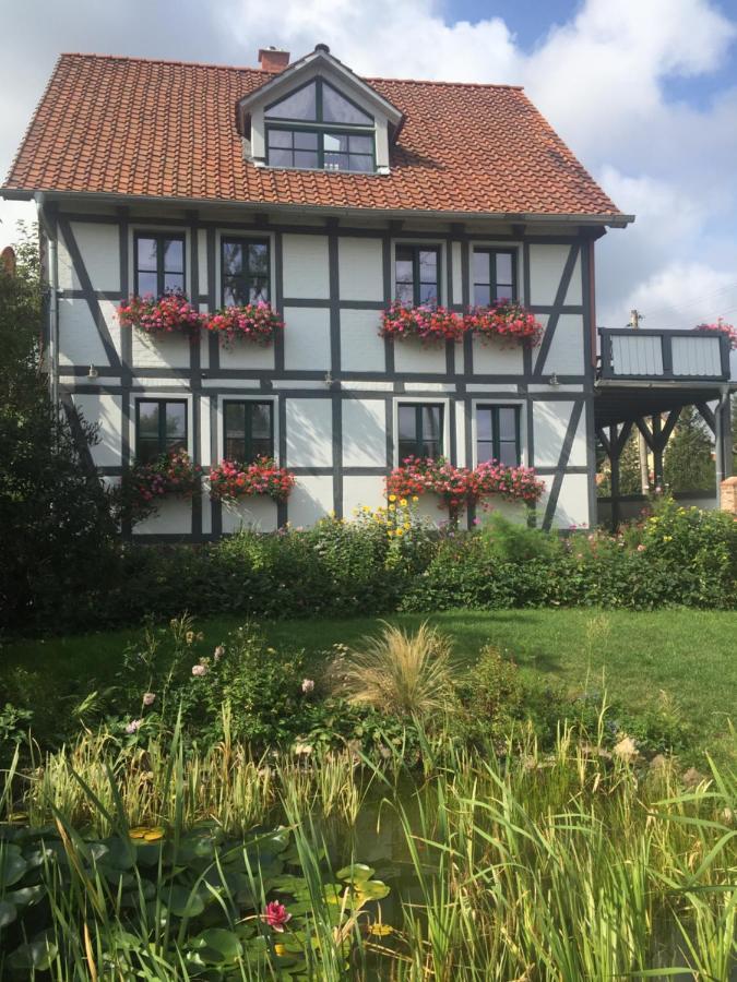 Schoene Gemuetliche Ferienwohnung Mit Kamin II Im Harz Darlingerode Ngoại thất bức ảnh